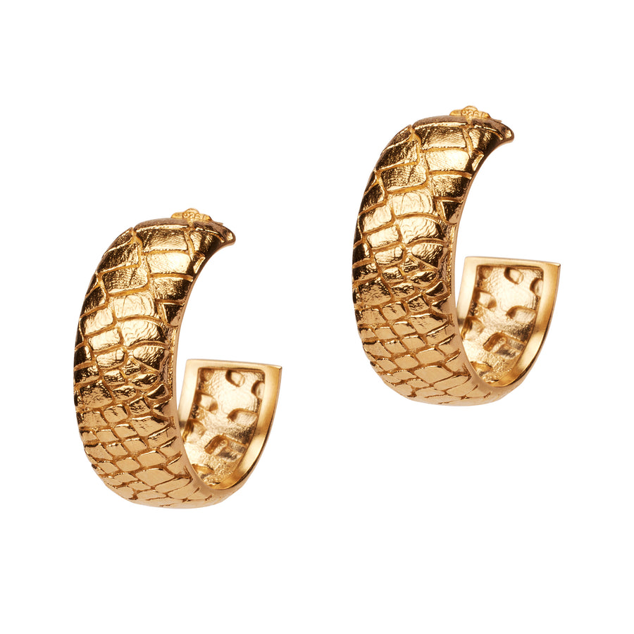 Desert Darling Earrings in gold